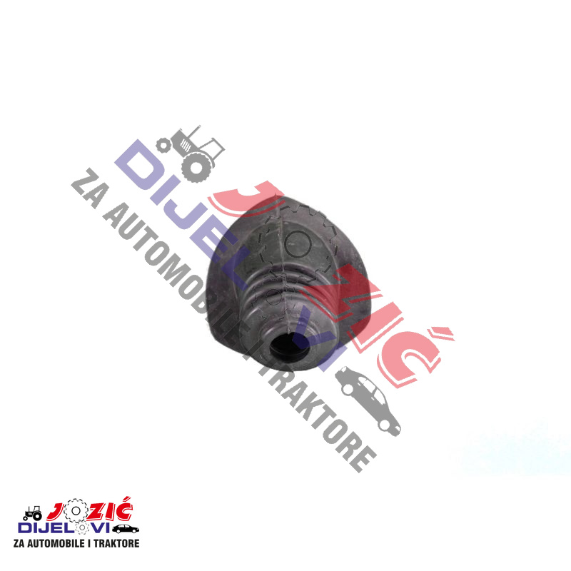 Daisy on the Ohoopee